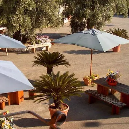 Mafrolla *