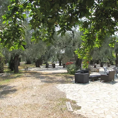 Mafrolla *