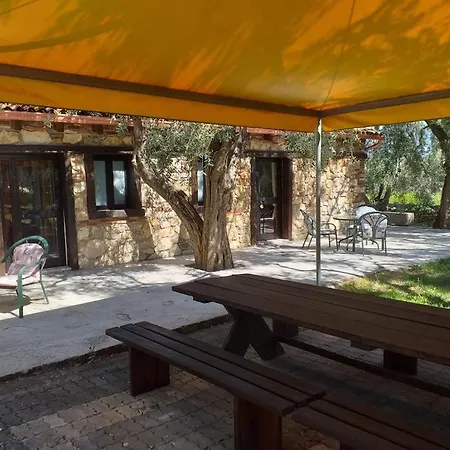 Mafrolla